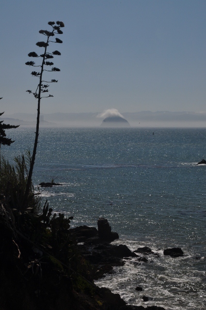 Morro Rock from Cayucos 